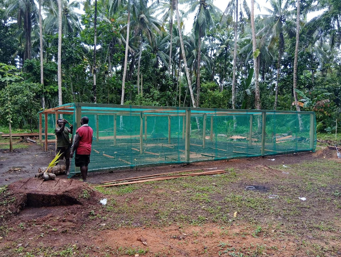 Beatific Foundation project image