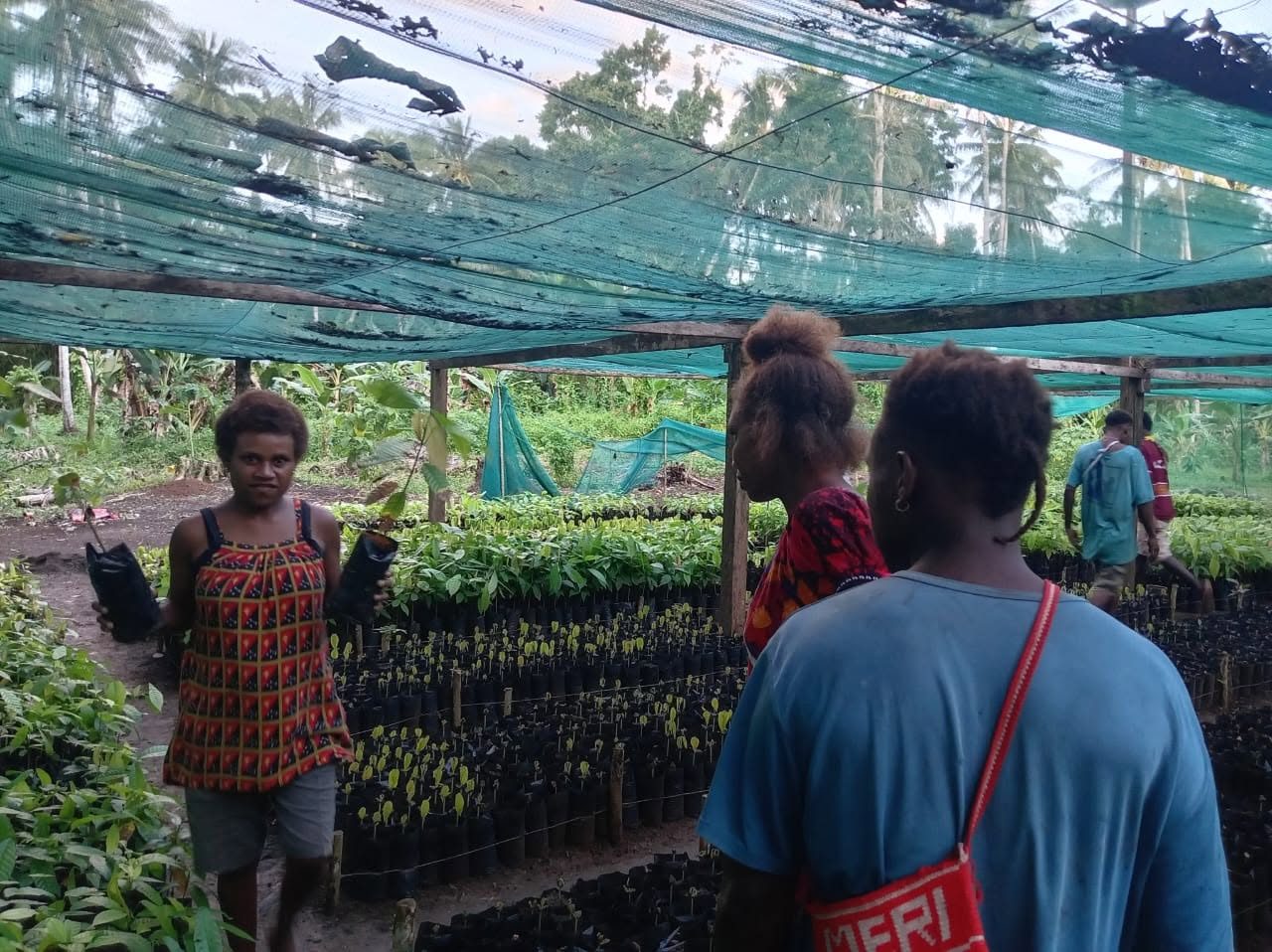 Community field work