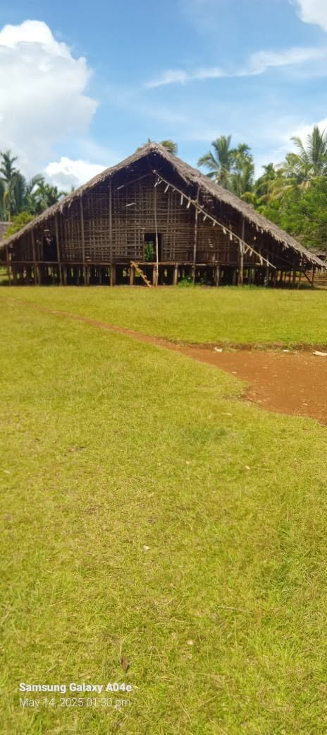 Traditional community house